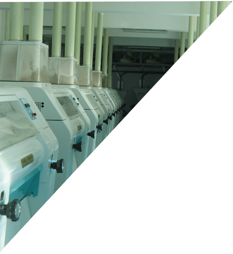 小麦面粉加工设备