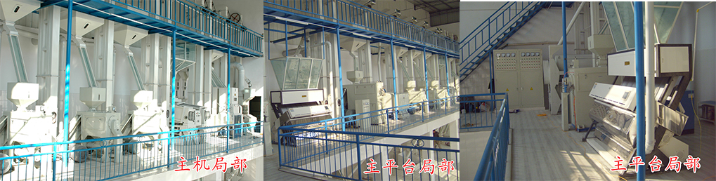 202404011109.jpg 色选机.jpg